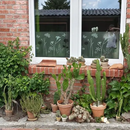 Am Schaeferbrink בויצנבורג